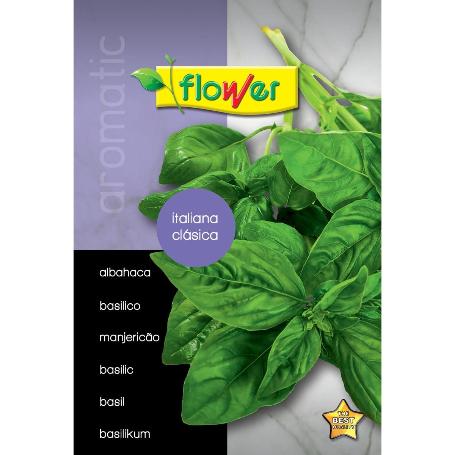 ALBAHACA ITALIANA CLASICA 50632 FLOWER