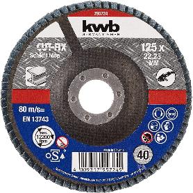 DISCS LAMINAS 125X22MM G40 49795724