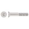 TORNILLO INOX DIN 7991 A2 M6*10