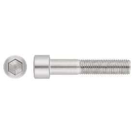 TORNILLO INOX DIN 912 A2 M16*55