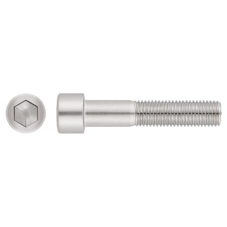 TORNILLO INOX DIN 912 A2 M16*55