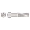 TORNILLO INOX DIN 912 A2 M16*55