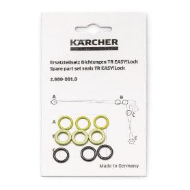 SET LIMPIEZA DE REPUESTO 4.100-688.0 KARCHER