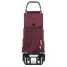CARRO IBAG MF 4.2 TOUR PLUS BURDEOS