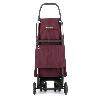 CARRO IBAG MF 4.2 TOUR PLUS BURDEOS