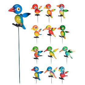 PINCHO PAJARO CABEZON