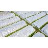 PLASTICO 6MT TRANSPARENTE G/600 R/50MT.