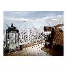 MALLA PLAST. VERDE 20X20 MM APROX  ROLLO 25M