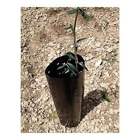 Protector arboles 60x20 cm g900 PROTECTOR ARBOLES 60X20 CM G900